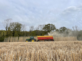 Récolte miscanthus 4